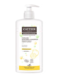 Familien Duschgel & Shampoo Grapefruit  500ml