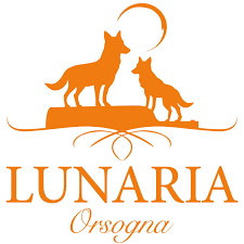 Lunaria